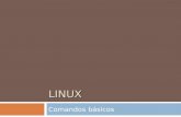 LINUX Comandos básicos.  Bash  A primeira coisa que precisamos entender para começar a utilizar os comandos do Linux é o seguinte: O Linux é um sistema.