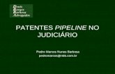 PATENTES PIPELINE NO JUDICIÁRIO Pedro Marcos Nunes Barbosa pedromarcos@nbb.com.br.
