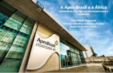 A Apex-Brasil e a África Construindo uma agenda empresarial para o continente Ana Paula Repezza Gerente Executiva de Facilitação para Negócios Internacionais.