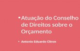 Atuação do Conselho de Direitos sobre o Orçamento Antonio Eduardo Citron.