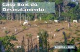 Caso Pecuária na Amazônia Proposta de Termo de Ajuste de Conduta Caso Bois do Desmatamento MPF/PA - 2009.