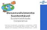 Carmen Cavalcanti, arquiteta e urbanista UFPE Consultora em Produção Mais Limpa CNTL- RS Mestre em Gestão e Políticas Ambientais UFPE Desenvolvimento Sustentável.