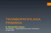 TROMBOPROFILAXIA PRIMÁRIA Dr. Ricardo Brito Campos Pneumologista – Hospital Regional do Gama / Pulmoclínica TE SBPT 2003.
