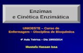 Enzimas e Cinética Enzimática Mustafa Hassan Issa UNIOESTE – Curso de Enfermagem – Disciplina de Bioquímica 4ª Aula Teórica – Dia 19/03/2014.
