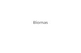 Biomas. Tundras Altas latitudes, invernos rigorosos e longos, baixa pluviosidade, solo pobre (camada congelada) Vegetação: musgos, líquens, gramíneas,