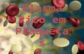 Plasma Rico em Plaquetas copyrights:oibconsultantsinc 1.