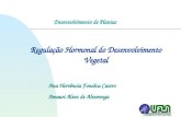 Regulação Hormonal do Desenvolvimento Vegetal Desenvolvimento de Plantas Ana Hortência Fonsêca Castro Amauri Alves de Alvarenga.