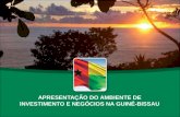 APRESENTAÇÃO DO AMBIENTE DE INVESTIMENTO E NEGÓCIOS NA GUINÉ-BISSAU.