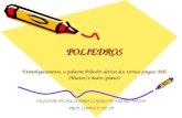 POLIEDROS POLIEDROS Etimologicamente, a palavra Poliedro deriva dos termos gregos: Poli (Muitos) e hedro (plano). SUGESTÃO DE AULA PARA CLASSES DO ENSINO.