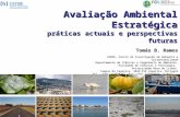 Avaliação Ambiental Estratégica práticas actuais e perspectivas futuras Tomás B. Ramos CENSE, Centro de Investigação em Ambiente e Sustentabilidade Departamento.