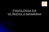 FISIOLOGIA DA GLÂNDULA MAMÁRIA. GENERALIDADES A glândula mamária é uma glândula da pele (como são as sudoríparas) altamente modificada. A glândula mamária.