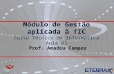 Módulo de Gestão aplicada à TIC Módulo de Gestão aplicada à TIC Curso Técnico de Informática Aula 03 Prof. Amadeu Campos.