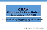 CEAV Economia Brasileira Exercícios – ANPEC Processo de Substituição de Importações e Plano Trienal Prof. Antonio Carlos Assumpção.