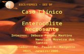 Caso Clínico Enterocolite Necrosante Internos: Débora Pompeu Martins Henrique Moreira dos Santos Orientador: Dr. Paulo R. Margotto HRAS, Janeiro/2006.