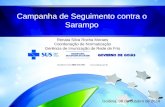 Campanha de Seguimento contra o Sarampo Goiânia, 08 de outubro de 2014 Renata Silva Rocha Moraes Coordenação de Normatização Gerência de Imunização de.