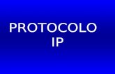 PROTOCOLO IP. Antecedentes Históricos PROTOCOLO IP Desenvolvido em 1973 por Vinton Cerf. WORLD WIDE WEB Desenvolvida em 1989 por Timothy Berners-Lee.