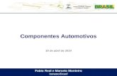 Fabio Real e Marcelo Monteiro Inmetro/Dconf Componentes Automotivos 30 de abril de 2014.