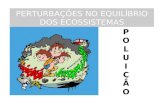 PERTURBAÇÕES NO EQUILÍBRIO DOS ECOSSISTEMAS POLUIÇÃOPOLUIÇÃO.