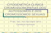 CITOGENÉTICA CLÍNICA CROMOSSOMOPATIAS DOS AUTOSSOMOS E DOS CROMOSSOMOS SEXUAIS Profa. Dra. Ana Elizabete Silva Genética Humana.