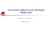 Conceitos Básicos de Biologia Molecular Marcílio C. P. de Souto DIMAp/UFRN.