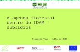 A agenda florestal dentro do IDAM : subsídios Floresta Viva – julho de 2007.