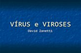VÍRUS e VIROSES David Zanetti. Características gerais São acelulares Não possuem metabolismo próprio Parasitas obrigatórios Possuem alta especificidade.