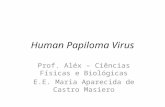 Human Papiloma Virus Prof. Aléx – Ciências Físicas e Biológicas E.E. Maria Aparecida de Castro Masiero.