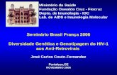 Ministério da Saúde Fundação Oswaldo Cruz - Fiocruz Depto. de Imunologia - IOC Lab. de AIDS e Imunologia Molecular Seminário Brasil França 2006 Diversidade.