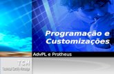Programação e Customizações AdvPL e Protheus. Aula 1 Evolução e Arquitetura do Sistema Arquivos Customizações Case – Sistema de Contas Correntes.