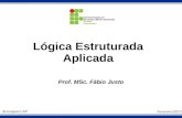 Lógica Estruturada Aplicada Prof. MSc. Fábio Justo Araraquara-SP Fevereiro/2012.