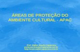 ÁREAS DE PROTEÇÃO DO AMBIENTE CULTURAL - APAC Prof. Walter Aranha Capanema professor@waltercapanema.com.br .