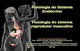 Fisiologia do Sistema Endócrino Fisiologia do sistema reprodutor masculino Profa. Dra. Cristina Maria Henrique Pinto Profa. Adjunto do Depto. Ciências.