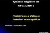 Testes Físicos e Químicos Métodos Cromatográficos Química Orgânica III UFPI//2010-1 Ministrante: Prof. Dr. Sidney Lima Prof. Sidney Lima – UFPI 2010.