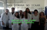 UMA SEMANA NO ICAAM (22-07-13/26-07-13) Bactérias que fazem crescer as plantas Universidade de Évora- núcleo da Mitra.