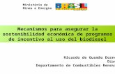 Mecanismos para asegurar la sostenibilidad económica de programas de incentivo al uso del biodiesel Ministério de Minas e Energia Ricardo de Gusmão Dornelles.