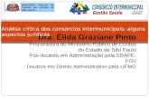 Dra. Élida Graziane Pinto Procuradora do Ministério Público de Contas do Estado de São Paulo Pós-doutora em Administração pela EBAPE- FGV Doutora em Direito.