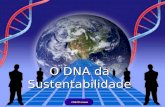 JJdeOCanaan 1 O DNA da Sustentabilidade 2 Visão Histórica da Gestão Organizacional.