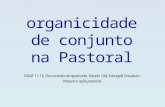 Organicidade de conjunto na Pastoral DGAE 11-15, Documento de Aparecida, Estudo 104, Evangelii Gaudium Palavra e ação pastoral.