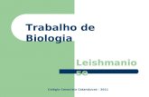 Trabalho de Biologia Leishmaniose Colégio Cenecista Catanduvas - 2011.
