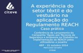 A experiência do setor têxtil e do vestuário na aplicação do Regulamento REACH Caso prático Conferência de Lançamento da Campanha “Apoio aos Técnicos de.