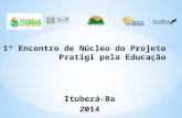 1º Encontro de Núcleo do Projeto Pratigi pela Educação Ituberá-Ba 2014.