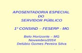 1 APOSENTADORIA ESPECIAL DO SERVIDOR PÚBLICO 1º CONSIND – FESERP - MG Belo Horizonte – MG Novembro/2014 Novembro/2014 Delúbio Gomes Pereira Silva.