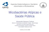 Micobactérias Atípicas e Saúde Pública Aspectos Epidemiológicos e Sanitários relacionados a Micobactérias Alessandra Marques Cardoso Mestre e Doutoranda.