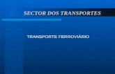 SECTOR DOS TRANSPORTES TRANSPORTE FERROVIÁRIO. Quadro I.