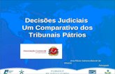 Decisões Judiciais Um Comparativo dos Tribunais Pátrios Ana Flávia Cabrera Biasotti de Oliveira Ana Flávia Cabrera Biasotti de OliveiraAdvogada.