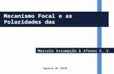 Marcelo Assumpção & Afonso E. V. Lopes Mecanismo Focal e as Polaridades das Ondas de Corpo (Parte 1) Agosto de 2010.