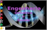 1 5 2 3 4 6. Engenharia genética pode ser definida como o conjunto de técnicas capazes de permitir a identificação, manipulação e multiplicação de genes.