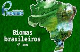 Biomas brasileiros 4º ano. Você sabe o que é um bioma? Conhece a diversidade de biomas existentes em nosso país que abriga uma diversidade de espécies.