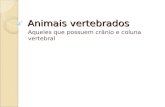 Animais vertebrados Aqueles que possuem crânio e coluna vertebral.