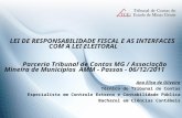 LEI DE RESPONSABILIDADE FISCAL E AS INTERFACES COM A LEI ELEITORAL Parceria Tribunal de Contas MG / Associação Mineira de Municípios AMM - Passos - 06/12/2011.